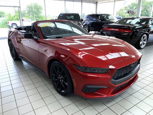Used 2024 Ford Mustang Convertible w/ Mustang Nite Pony Package RWD image 4