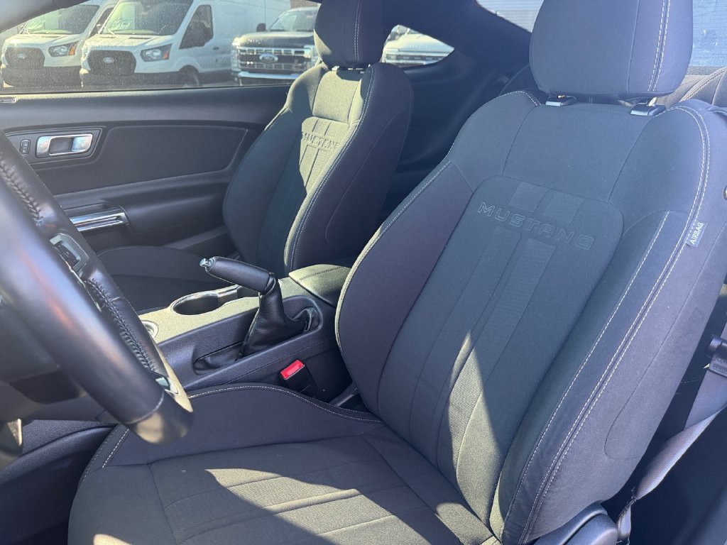 Used 2021 Ford Mustang GT w/ Equipment Group 301A RWD image 13