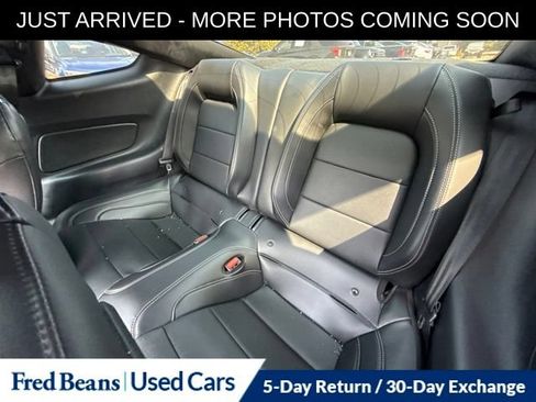 Used 2022 Ford Mustang GT Premium w/ Equipment Group 401A RWD image 15
