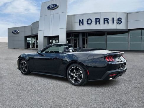 Used 2025 Ford Mustang Premium RWD image 3