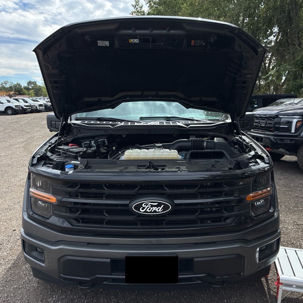 Used 2024 Ford F150 XLT w/ XLT Black Appearance Package AWD/4WD image 17
