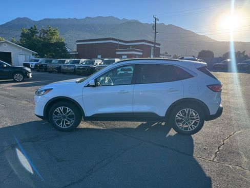 Used 2020 Ford Escape SEL AWD/4WD image 2