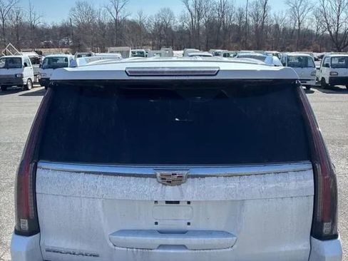 Used 2017 Cadillac Escalade Platinum AWD/4WD image 15
