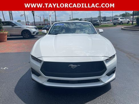 Used 2025 Ford Mustang Premium RWD image 3