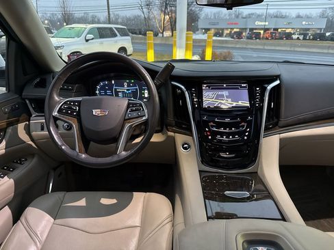Used 2019 Cadillac Escalade Luxury image 30