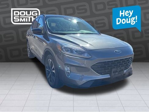 Used 2022 Ford Escape SEL w/ SEL Stealth AWD Package image 7