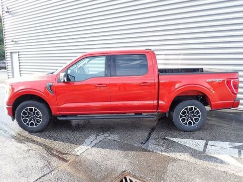 Used 2023 Ford F150 XLT w/ Equipment Group 302A High AWD/4WD image 2
