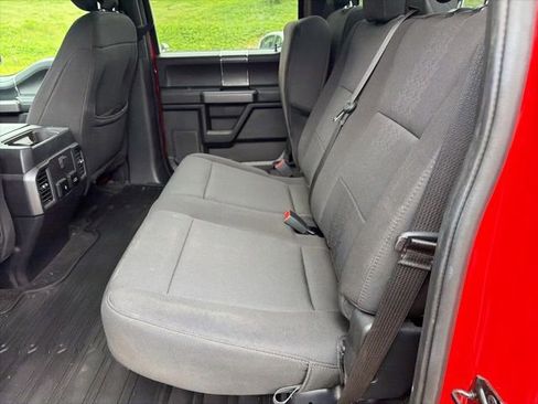Used 2019 Ford F150 XLT w/ Equipment Group 302A Luxury AWD/4WD image 15