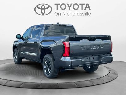 New 2026 Toyota Tundra Platinum