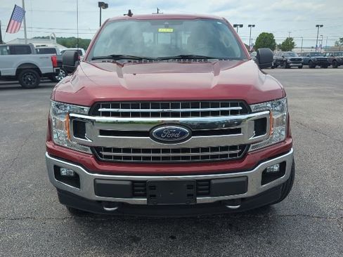 Used 2019 Ford F150 XLT w/ Equipment Group 302A Luxury AWD/4WD image 4