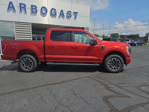 Used 2023 Ford F150 XLT w/ Equipment Group 302A High AWD/4WD image 5