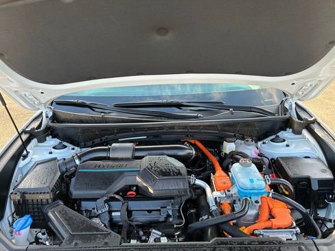 Used 2024 Hyundai Tucson Limited image 9