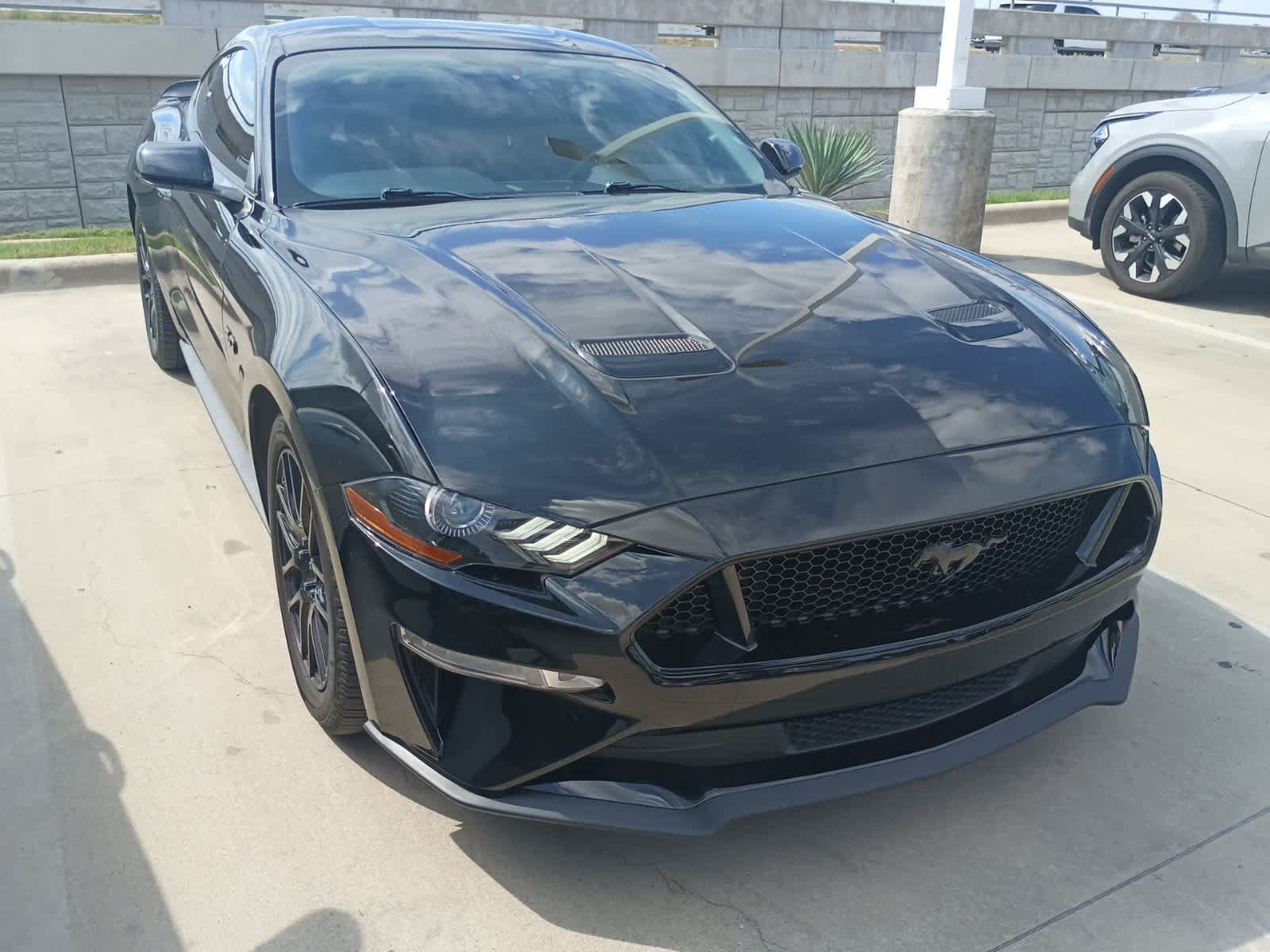 Used 2019 Ford Mustang GT w/ Equipment Group 301A RWD image 7