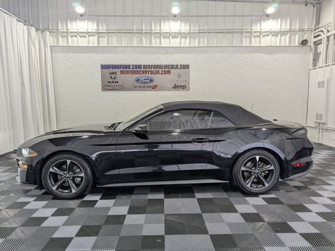 Used 2019 Ford Mustang Convertible w/ Ford Safe & Smart Package RWD image 2