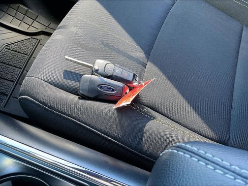 Used 2025 Ford F150 STX w/ STX Black Appearance Package image 13