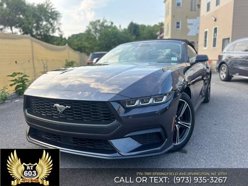 Used 2024 Ford Mustang Premium RWD image 1
