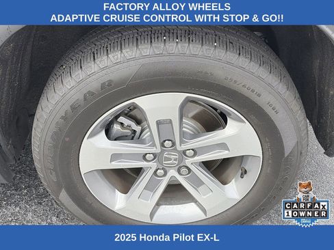 Used 2025 Honda Pilot EX-L image 9