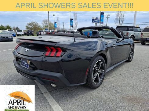 Used 2024 Ford Mustang Premium image 10