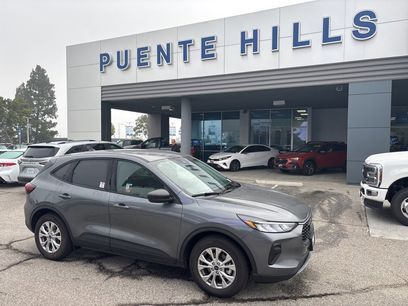 Used 2025 Ford Escape Active