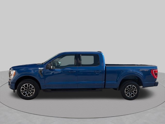 Used 2023 Ford F150 XLT w/ Equipment Group 302A High AWD/4WD image 2