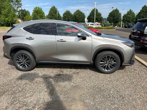 Used 2025 Lexus NX 350h AWD w/ Cold Area Package image 4