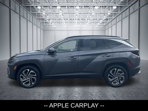 Used 2025 Hyundai Tucson Limited AWD/4WD image 3