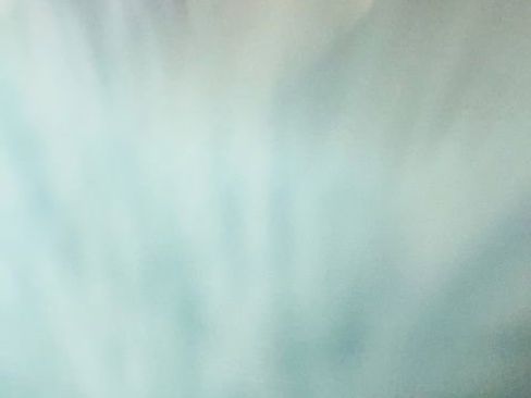 Certified 2024 Volkswagen Tiguan SE image 22