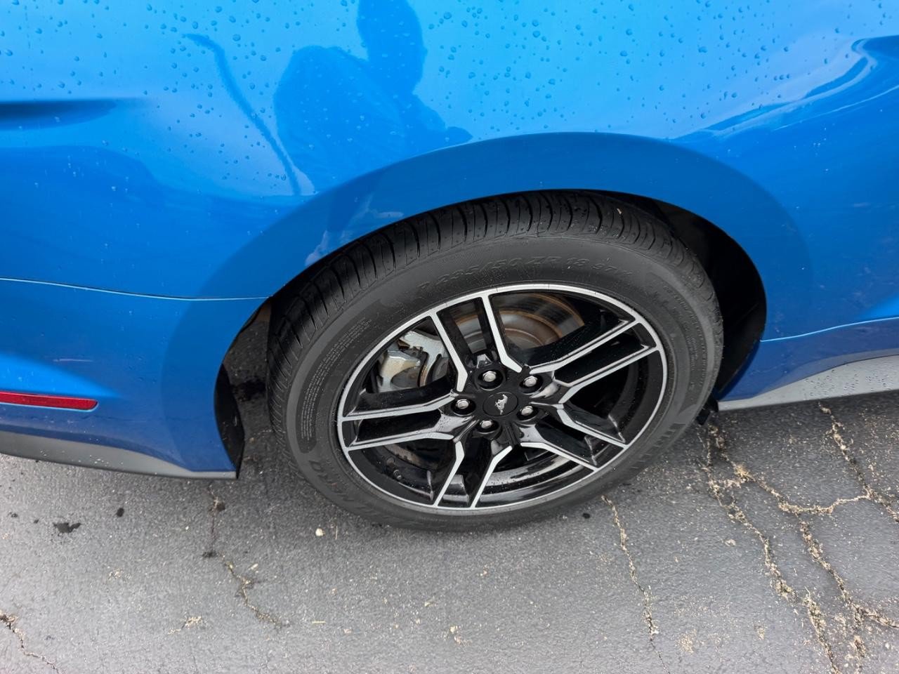 Used 2021 Ford Mustang GT RWD image 6