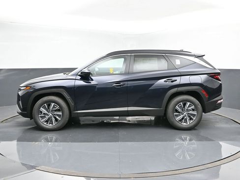 Used 2024 Hyundai Tucson Blue image 2