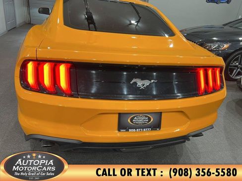 Used 2019 Ford Mustang Coupe RWD image 29
