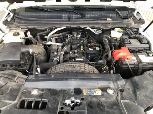 Used 2020 Ford Ranger XLT w/ Equipment Group 301A Mid image 3