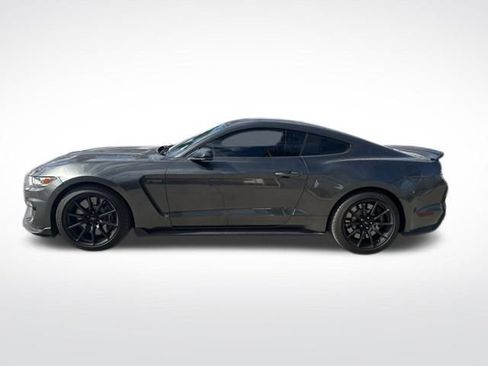 Used 2016 Ford Mustang Shelby GT350 w/ Technology Package image 5