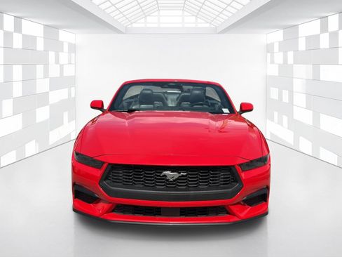 Used 2025 Ford Mustang Premium RWD image 2