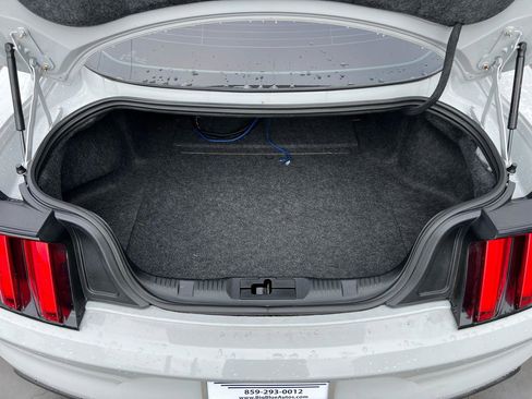 Used 2017 Ford Mustang Shelby GT350 w/ Electronics Package image 13