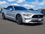 Used 2019 Ford Mustang Premium image 2