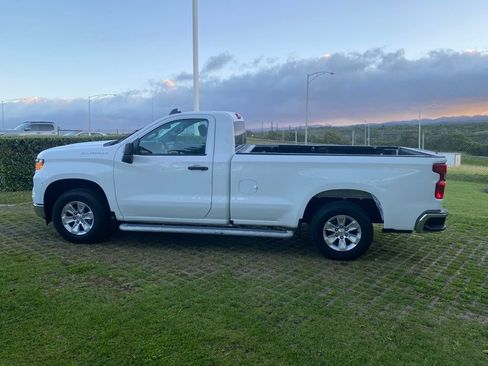 Used 2024 Chevrolet Silverado 1500 W/T w/ WT Fleet Convenience Package image 4