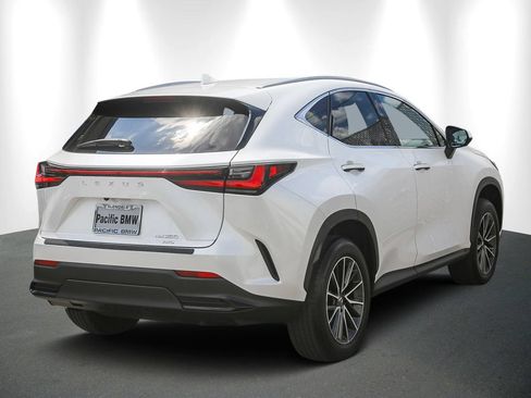 Used 2024 Lexus NX 350 AWD w/ Cold Area Package image 6