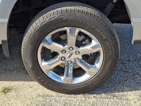 Used 2023 Ford F150 XLT w/ Equipment Group 302A High AWD/4WD image 8