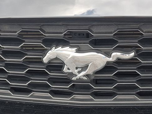 Used 2017 Ford Mustang Premium w/ Equipment Group 201A image 34