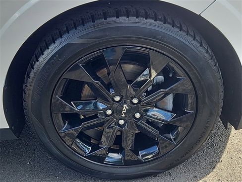 Certified 2024 Kia Carnival SX Prestige image 10