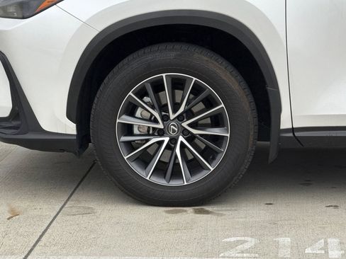 Certified 2025 Lexus NX 350h AWD w/ Cold Area Package image 13