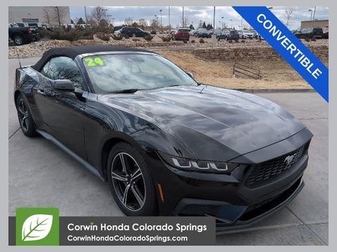Used 2024 Ford Mustang Premium image 1