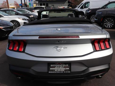 Used 2024 Ford Mustang Premium image 4