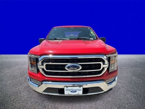 Used 2023 Ford F150 XLT w/ Equipment Group 302A High AWD/4WD image 2