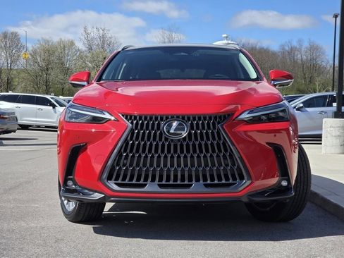 Used 2025 Lexus NX 350h AWD w/ Cold Area Package image 3