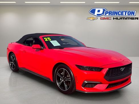 Used 2025 Ford Mustang Premium RWD image 1