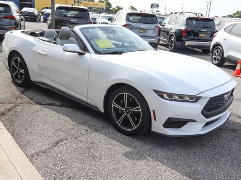 Used 2024 Ford Mustang Premium RWD image 3