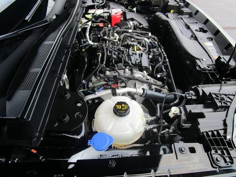 Used 2021 Ford Bronco Sport Big Bend w/ Big Bend Package (96B) image 10