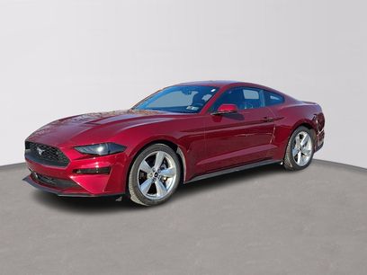 Used 2019 Ford Mustang Premium w/ Equipment Group 201A