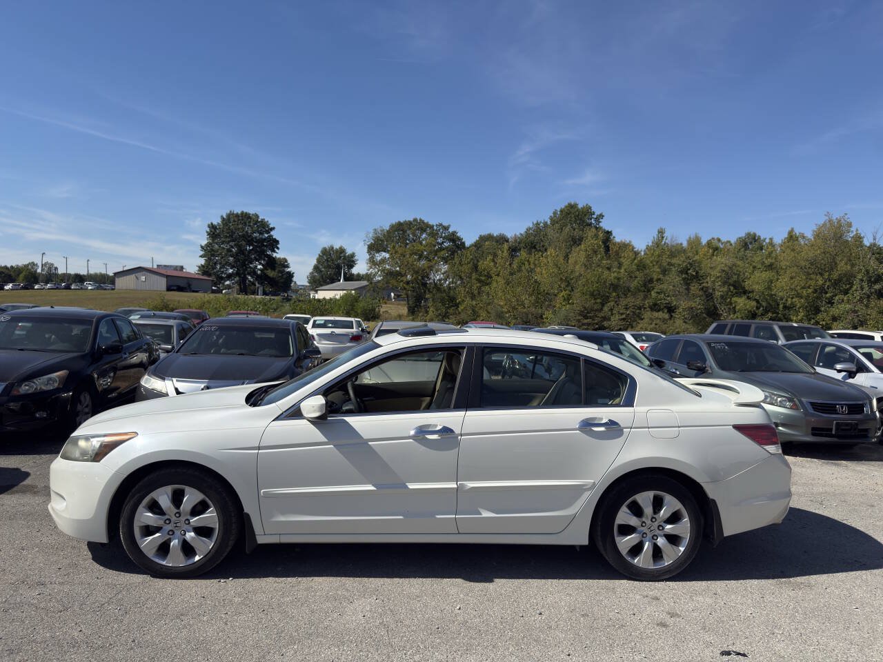 Used 2008 Honda Accord EX-L image 3